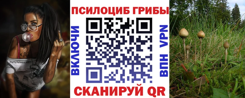 Галлюциногенные грибы мицелий  Артёмовск 